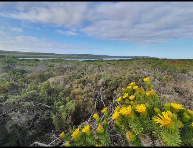 LAND FOR SALE IN GOURITSMOND RURAL